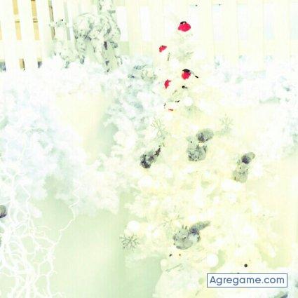 aslin chico soltero en 