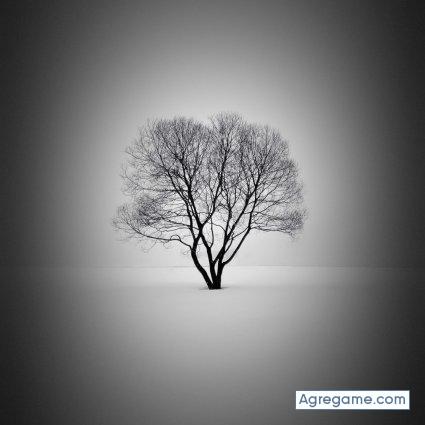 Rafo123 chico soltero en Cerro Colorado