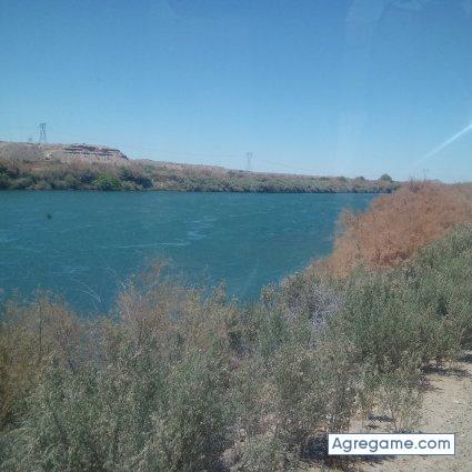 Coyochabelo1 chico casado en Westminster