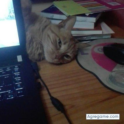 MarceloBuenosAires chico casado en Tandil