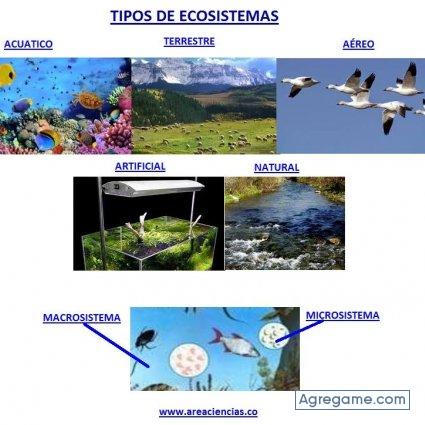 milamores7261 chico soltero en Puente Piedra