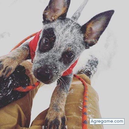 Rolo28 chico soltero en Astorga