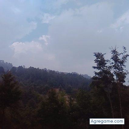 MiltonPablo chico soltero en Pajapita