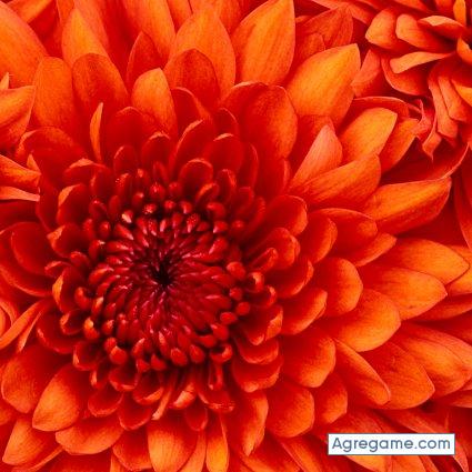 fem65 chico soltero en Aguascalientes