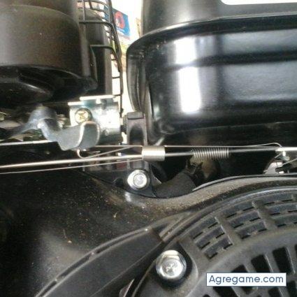 alinsito chico soltero en San Rafael Arriba