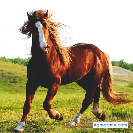 julian7818 chico soltero en Daule