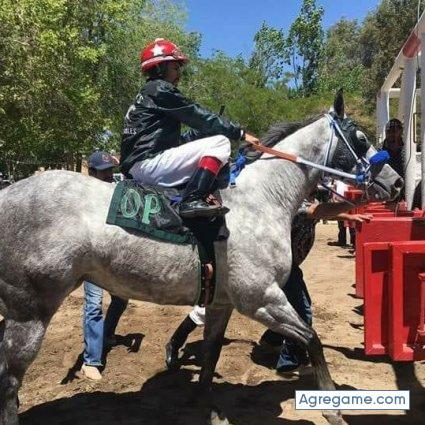 salvadormorales chico soltero en New Caney