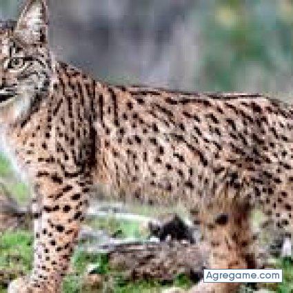 Juanbramirezm chico soltero en Loma Plata