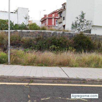 Timido969 chico soltero en Buenavista Del Norte