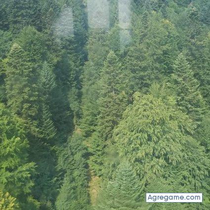 julian_333 chico soltero en Puig