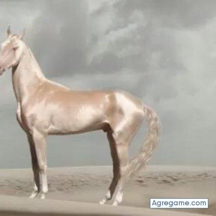 Luoruga chico soltero en Avenal