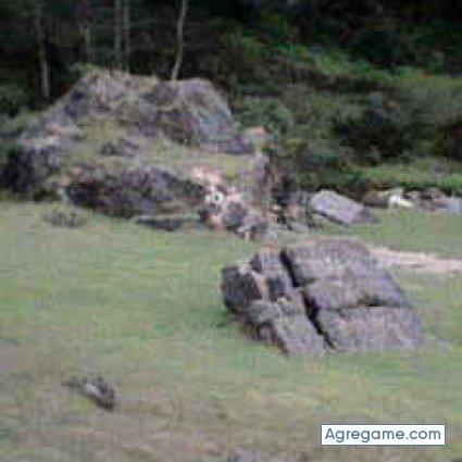 actualizaciondiferee chico soltero en Escuintla