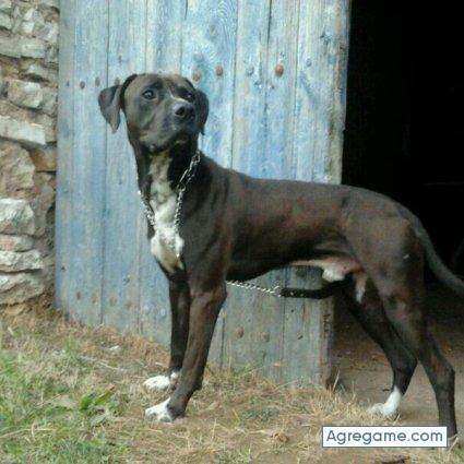 pika1986 chico soltero en Belorado