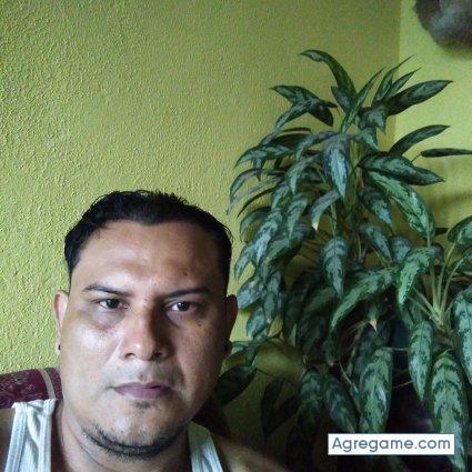 Wildlion chico soltero en Guácima