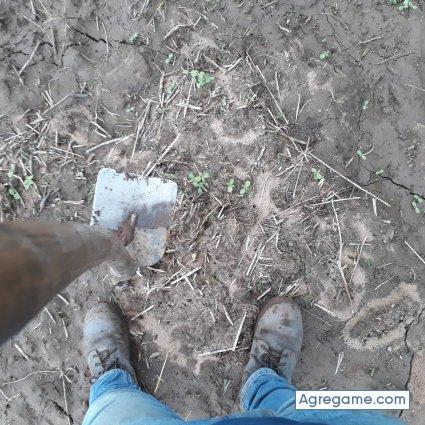 Miguel1a chico soltero en El Torno