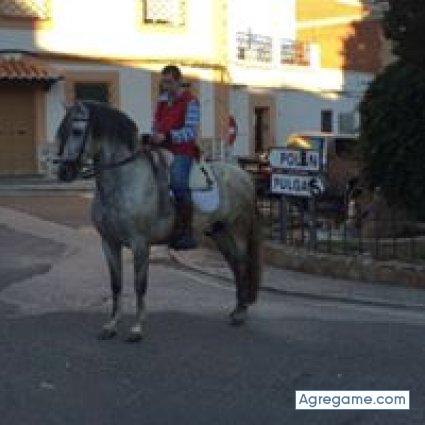 andresmartin6131 chico soltero en Monterroso