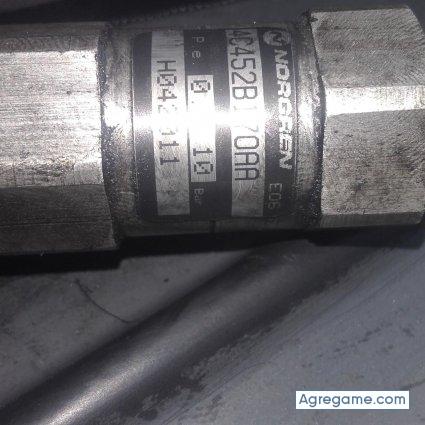 pablodario9020 chico soltero en Aguaray