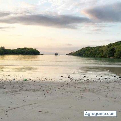 luis4651 chico soltero en San José De Gracia