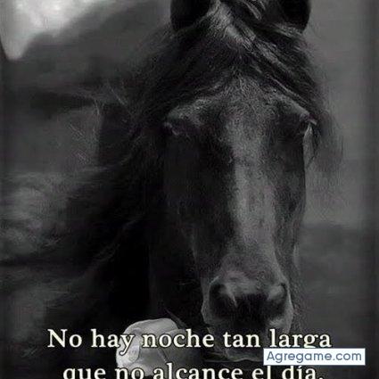 franciscojavier9577 chico soltero en Istmina