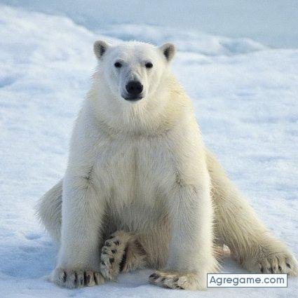Daguinio chico soltero en Bucaramanga
