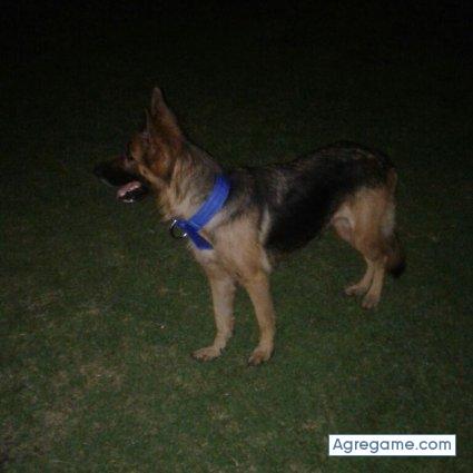 Derruido chico soltero en Madrid