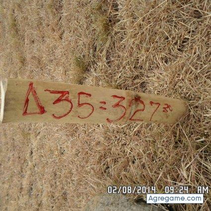 helo05 chico soltero en Itagüí