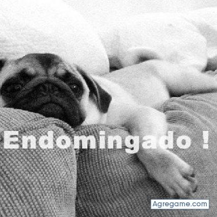 rcont chico soltero en Hoznayo