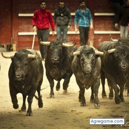 LuizJaime chico soltero en Lancaster