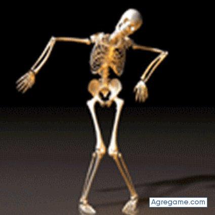 lui1981 chico soltero en Guadalajara Jalisco