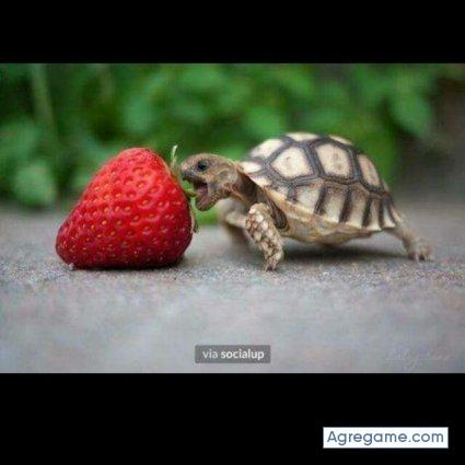 juancarlos2050 chico soltero en Belén