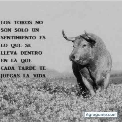 jose12500 chico soltero en Villarrubia