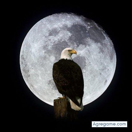 Ariel_Casado chico soltero en San Miguel Del Monte