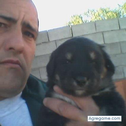 jose61 chico divorciado en Ondara