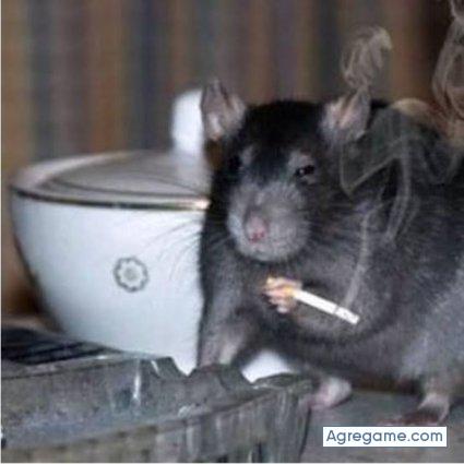 floppytokey chico soltero en Tepatitlán De Morelos