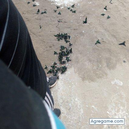 Pipe195 chico soltero en Chinú