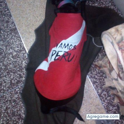 cesarramos6853 chico soltero en Vitarte