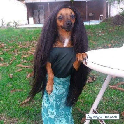 Franciscolararojas57 chico soltero en Montoro