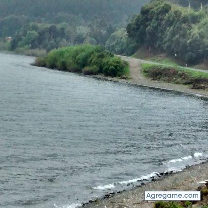 Huapeantiquina chico soltero en Mulchén