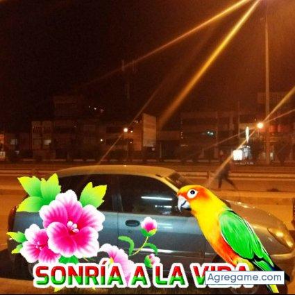 hernancalderon5107 chico soltero en Nauta