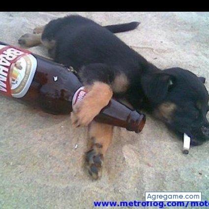 tuamigo22 chico soltero en Joaquín V. González