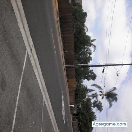 burros chico soltero en La Vergne