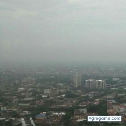 Mono100 chico soltero en Ibagué