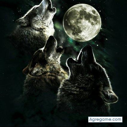 luizgonzales chico soltero en Temoaya