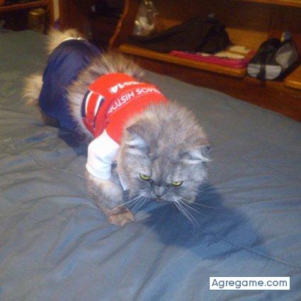 Maik924 chico soltero en Curridabat