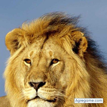 ismaelcv chico soltero en Mórrope