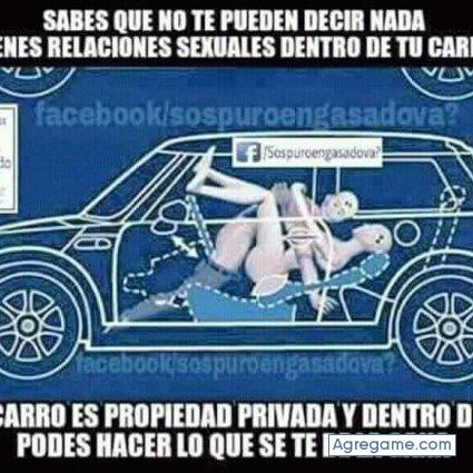 Perezalexander chico soltero en Pigeon Forge