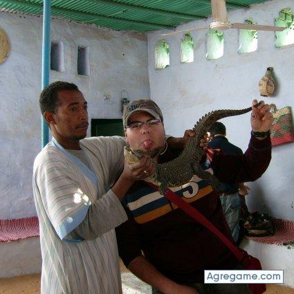 Relbull chico soltero en Ciudad Real