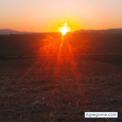 raulsanches2287 chico soltero en Medina Sidonia