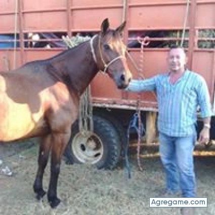 ramonrojas1622 chico soltero en Socopó