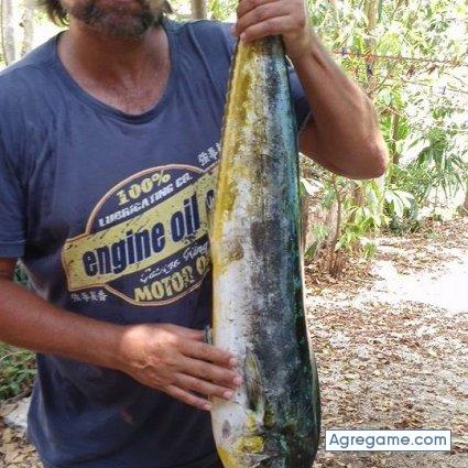 luzzio chico divorciado en Solidaridad